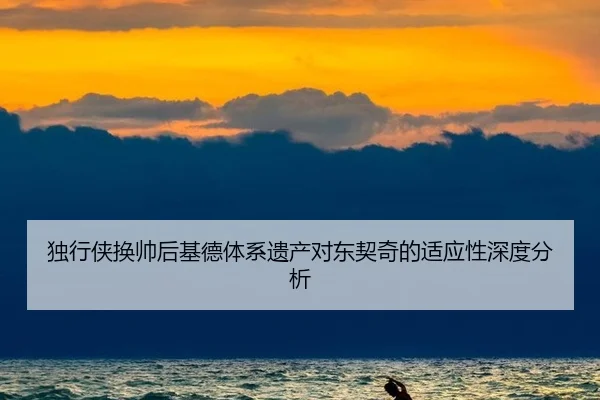 独行侠换帅后基德体系遗产对东契奇的适应性深度分析